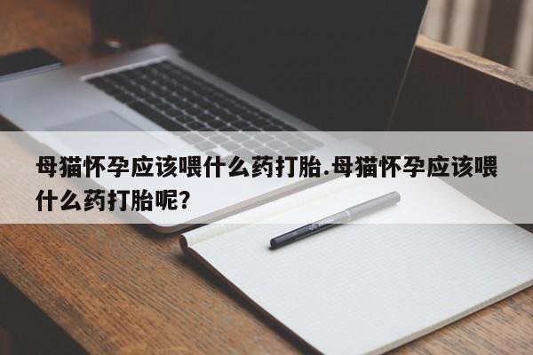 堕胎药在线购买母猫怀孕应该喂什么药打胎.母猫怀孕应该喂什么药打胎呢？