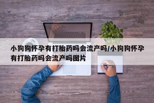堕胎药在线购买小狗狗怀孕有打胎药吗会流产吗/小狗狗怀孕有打胎药吗会流产吗图片