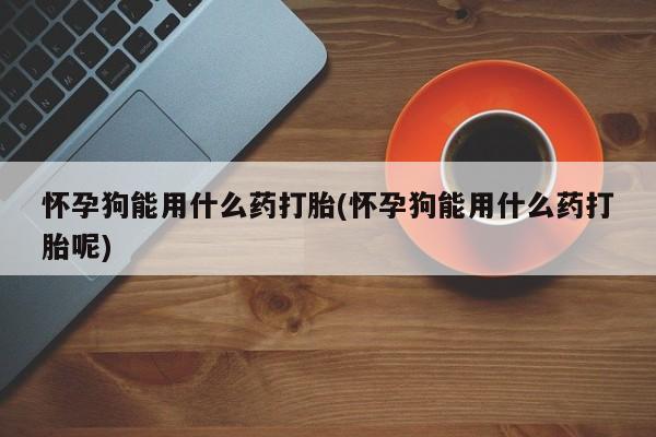 堕胎药在线购买怀孕狗能用什么药打胎(怀孕狗能用什么药打胎呢)